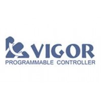 VIGOR VIGOR